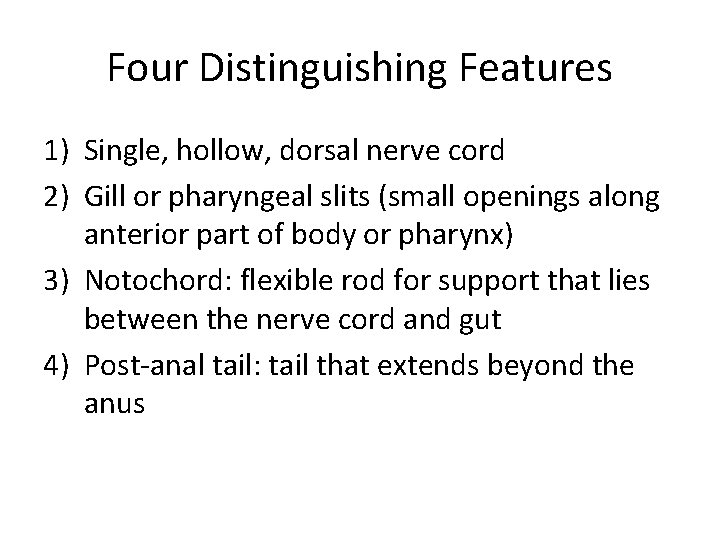 Four Distinguishing Features 1) Single, hollow, dorsal nerve cord 2) Gill or pharyngeal slits
