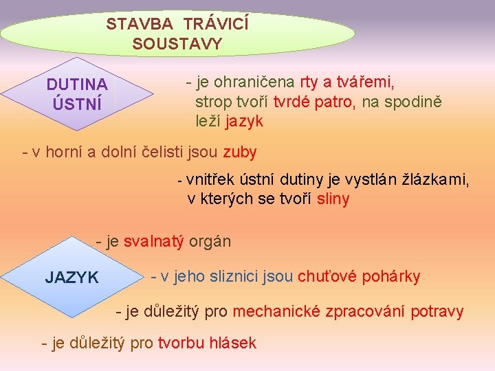 STAVBA TRÁVICÍ SOUSTAVY DUTINA ÚSTNÍ - je ohraničena rty a tvářemi, strop tvoří tvrdé