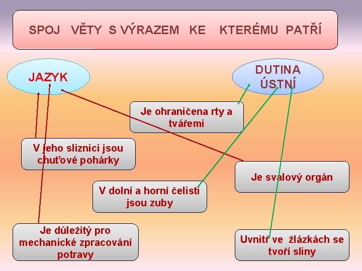 SPOJ VĚTY S VÝRAZEM KE KTERÉMU PATŘÍ DUTINA ÚSTNÍ JAZYK Je ohraničena rty a