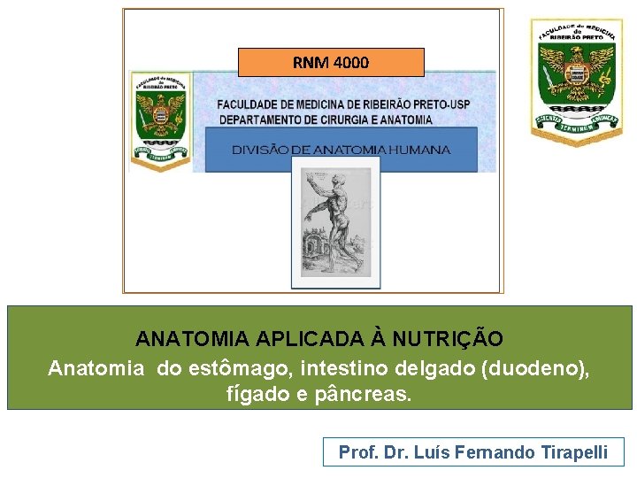 RNM 4000 ANATOMIA APLICADA À NUTRIÇÃO Anatomia do estômago, intestino delgado (duodeno), fígado e RNM 4000 ANATOMIA APLICADA À NUTRIÇÃO Anatomia do estômago, intestino delgado (duodeno), fígado e