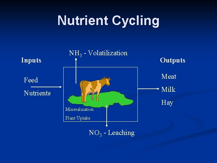Nutrient Cycling Inputs NH 3 - Volatilization Outputs Feed Meat Nutrients Milk Hay Mineralization