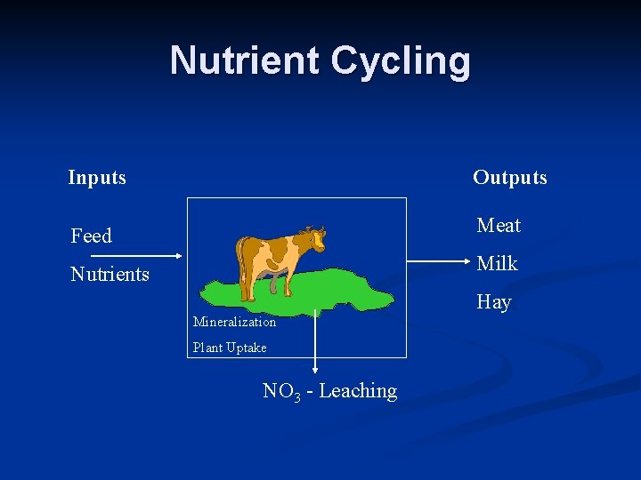 Nutrient Cycling Inputs Outputs Feed Meat Nutrients Milk Hay Mineralization Plant Uptake NO 3