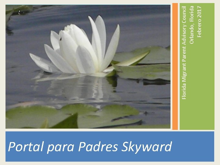 Portal para Padres Skyward Florida Migrant Parent Advisory Council Orlando, Florida Febrero 2017 