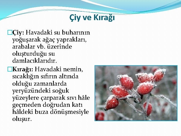 Çiy ve Kırağı �Çiy: Havadaki su buharının yoğuşarak ağaç yaprakları, arabalar vb. üzerinde oluşturduğu