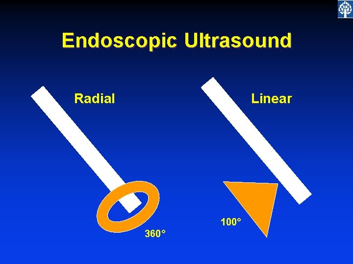 Endoscopic Ultrasound Radial Linear 100° 360° 