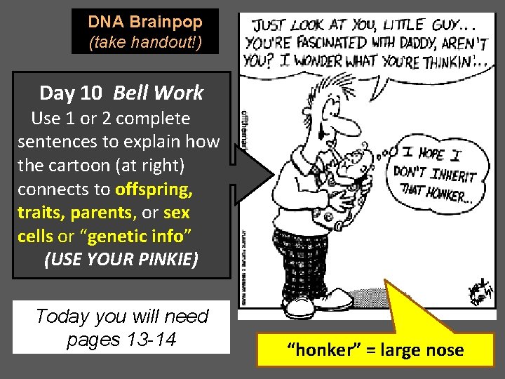 DNA Brainpop (take handout!) Day 10 Bell Work Use 1 or 2 complete sentences
