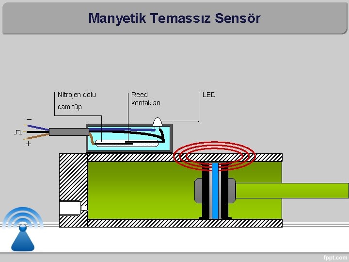 Manyetik Temassız Sensör Nitrojen dolu cam tüp Reed kontakları LED 