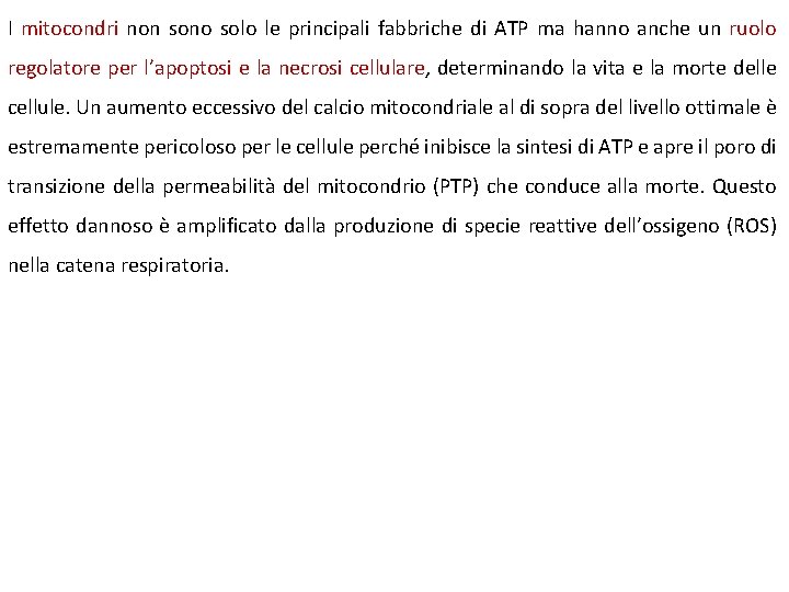 I mitocondri non sono solo le principali fabbriche di ATP ma hanno anche un