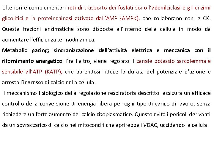 Ulteriori e complementari reti di trasporto dei fosfati sono l’adenilciclasi e gli enzimi glicolitici