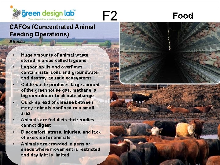 F 2 CAFOs (Concentrated Animal Feeding Operations) Effects: • • Huge amounts of animal