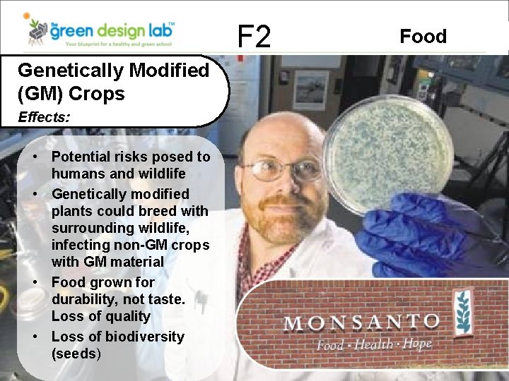 F 2 Genetically Modified (GM) Crops Effects: • Potential risks posed to humans and
