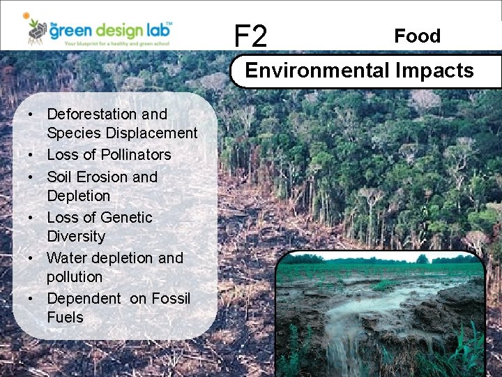 F 2 Food Environmental Impacts • Deforestation and Species Displacement • Loss of Pollinators