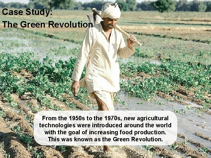 Case Study: The Green Revolution Food From the 1950 s to the 1970 s,