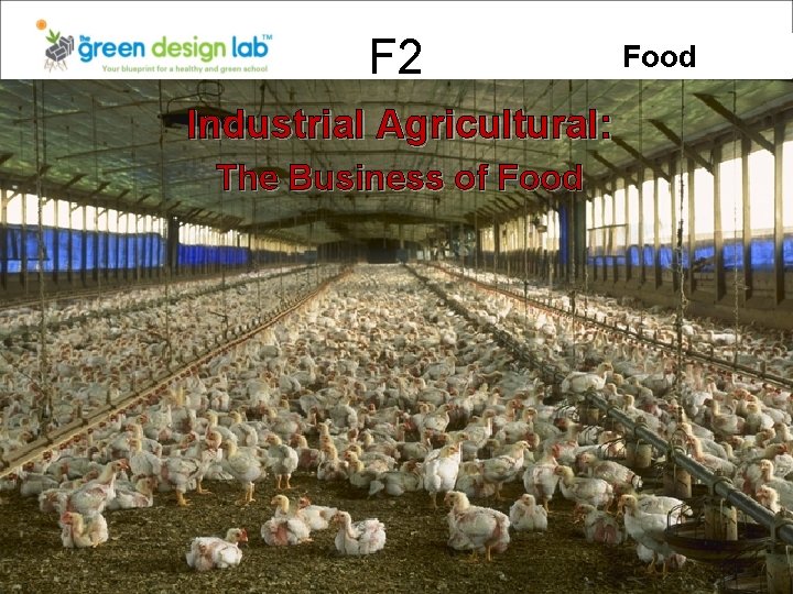 F 2 Industrial Agricultural: The Business of Food 