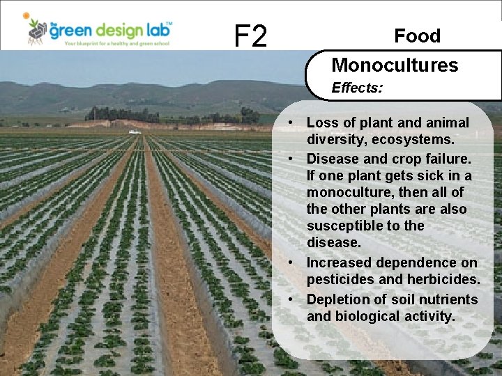 F 2 Food Monocultures Effects: • Loss of plant and animal diversity, ecosystems. •