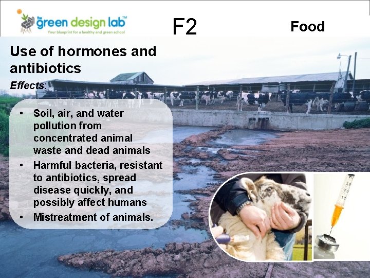 F 2 Use of hormones and antibiotics Effects: • Soil, air, and water pollution