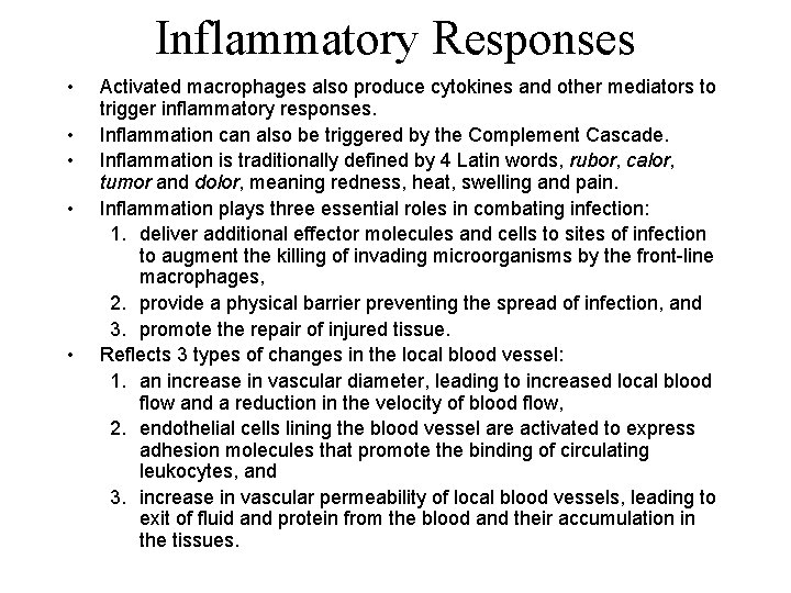 Inflammatory Responses • • • Activated macrophages also produce cytokines and other mediators to