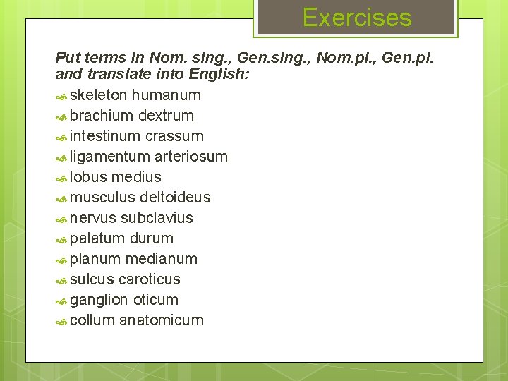 Exercises Put terms in Nom. sing. , Gen. sing. , Nom. pl. , Gen.