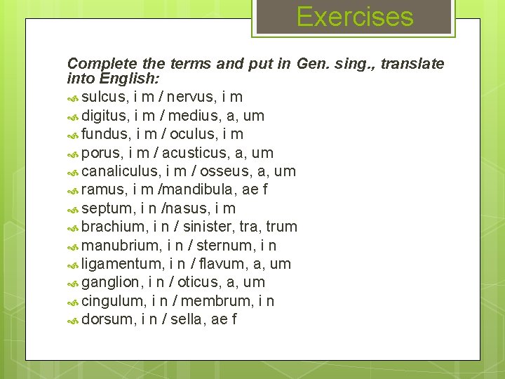 Exercises Complete the terms and put in Gen. sing. , translate into English: sulcus,