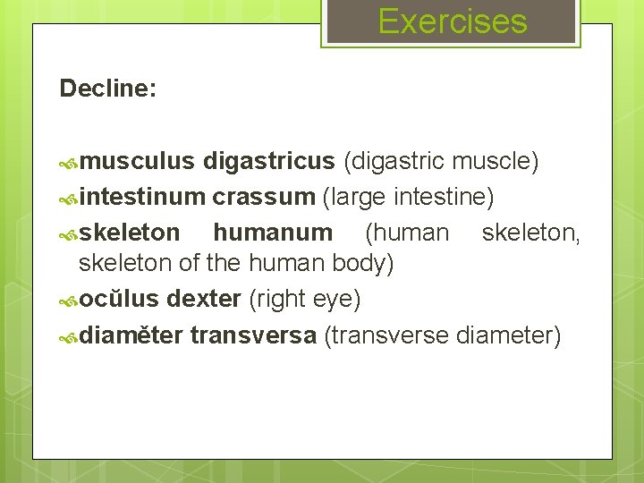 Exercises Decline: musculus digastricus (digastric muscle) intestinum crassum (large intestine) skeleton humanum (human skeleton,