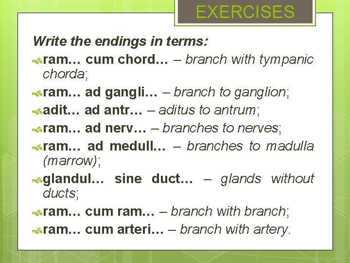 EXERCISES Write the endings in terms: ram… cum chord… – branch with tympanic chorda;
