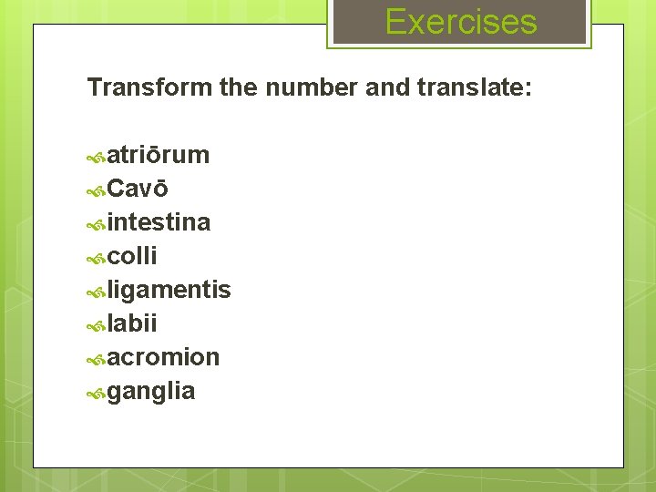 Exercises Transform the number and translate: atriōrum Cavō intestina colli ligamentis labii acromion ganglia
