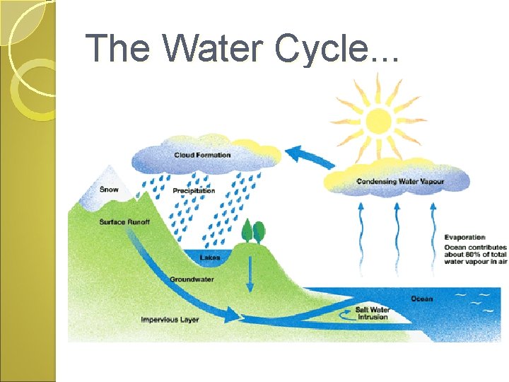 The Water Cycle. . . 