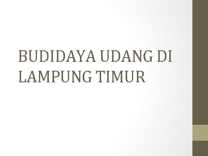 BUDIDAYA UDANG DI LAMPUNG TIMUR 