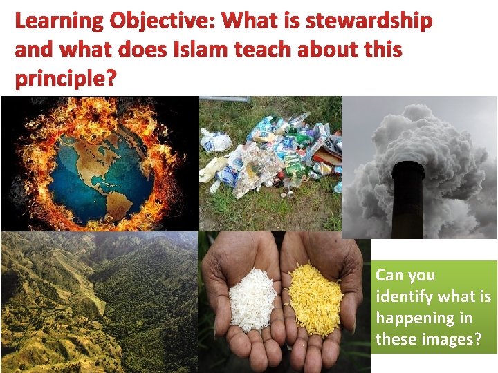 Learning Objective: What is stewardship and what does Islam teach about this principle? Can