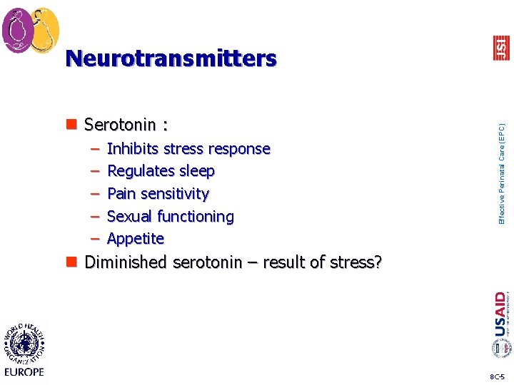 n Serotonin : – – – Inhibits stress response Regulates sleep Pain sensitivity Sexual