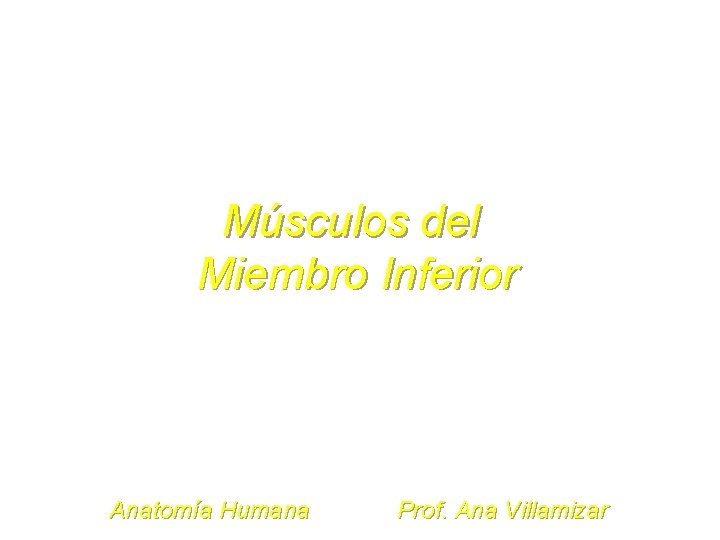 Músculos del Miembro Inferior Anatomía Humana Prof. Ana Villamizar 