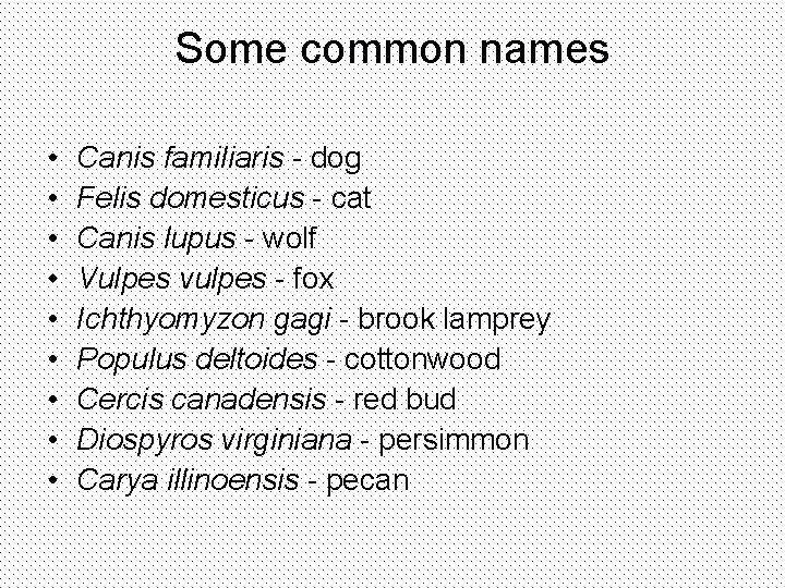 Some common names • • • Canis familiaris - dog Felis domesticus - cat