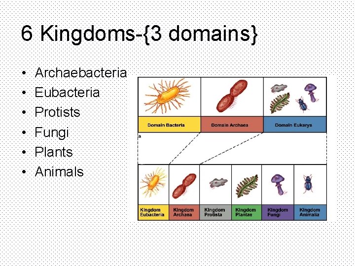 6 Kingdoms-{3 domains} • • • Archaebacteria Eubacteria Protists Fungi Plants Animals 