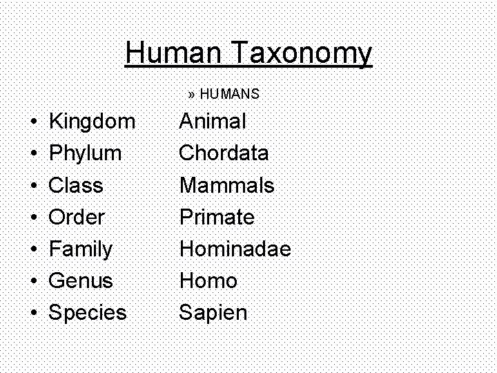 Human Taxonomy » HUMANS • • Kingdom Phylum Class Order Family Genus Species Animal