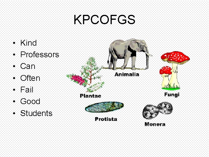 KPCOFGS • • Kind Professors Can Often Fail Good Students 