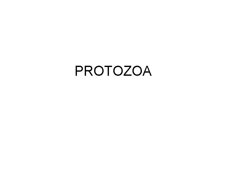 PROTOZOA 