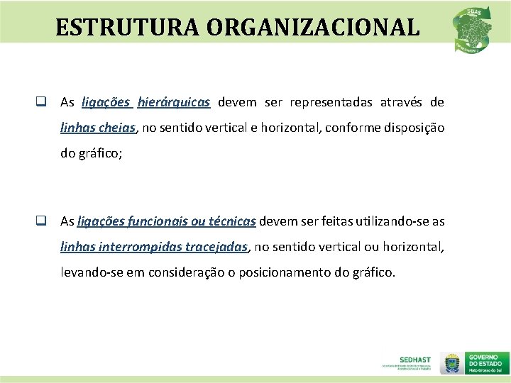 ESTRUTURA ORGANIZACIONAL q As ligações hierárquicas devem ser representadas através de linhas cheias, no