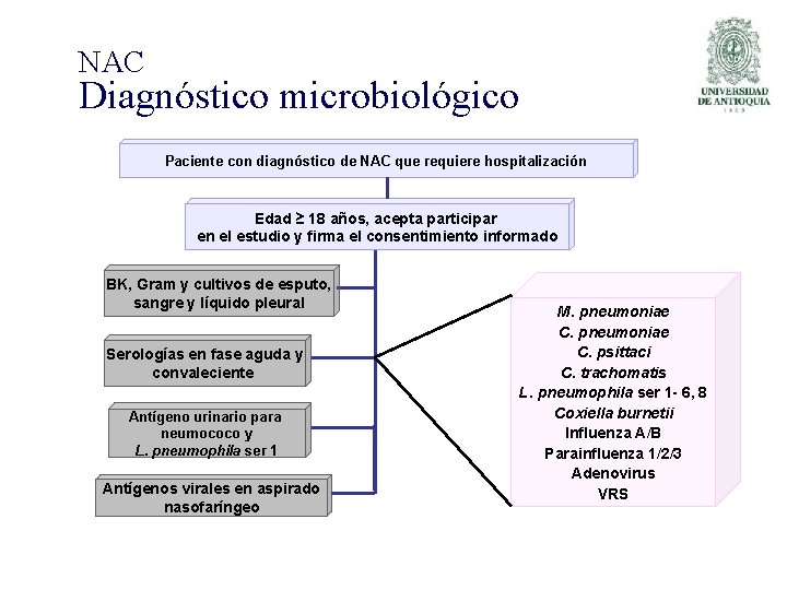 NAC Diagnóstico microbiológico Paciente con diagnóstico de NAC que requiere hospitalización Edad ≥ 18