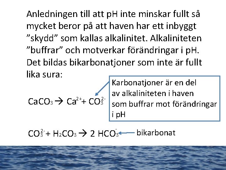 Anledningen till att p. H inte minskar fullt så mycket beror på att haven