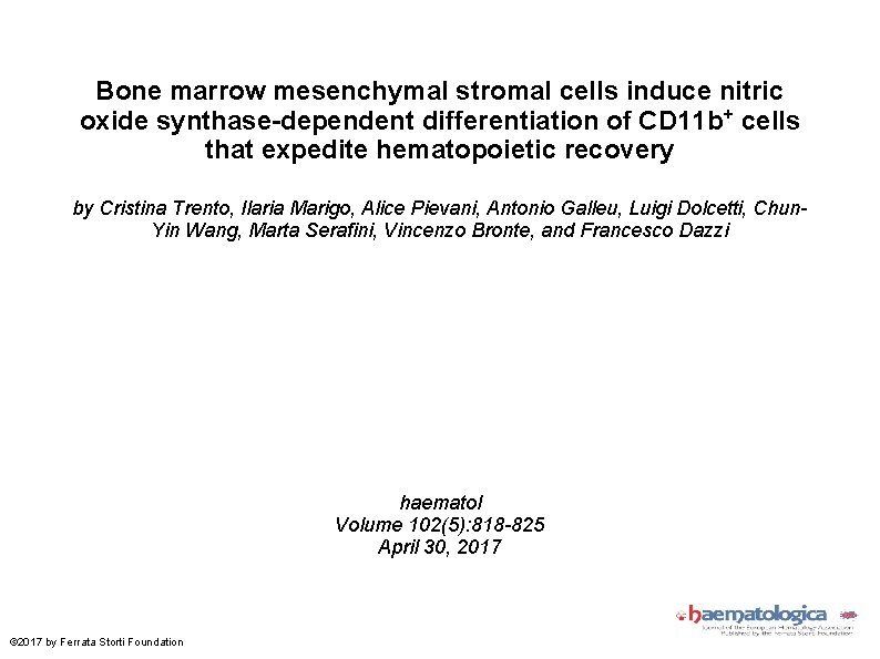 Bone marrow mesenchymal stromal cells induce nitric oxide synthase-dependent differentiation of CD 11 b+