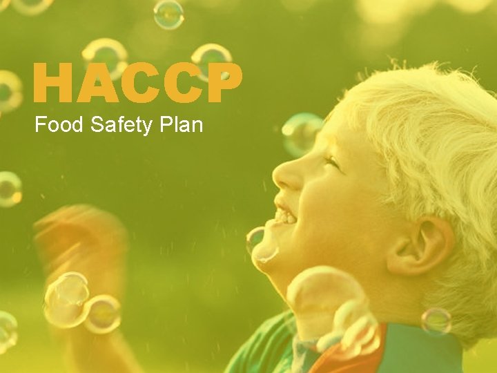 HACCP Food Safety Plan 