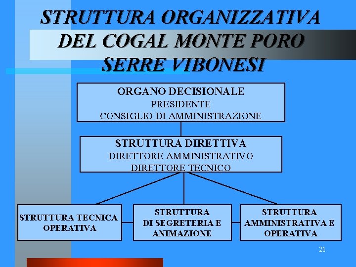 STRUTTURA ORGANIZZATIVA DEL COGAL MONTE PORO SERRE VIBONESI ORGANO DECISIONALE PRESIDENTE CONSIGLIO DI AMMINISTRAZIONE STRUTTURA ORGANIZZATIVA DEL COGAL MONTE PORO SERRE VIBONESI ORGANO DECISIONALE PRESIDENTE CONSIGLIO DI AMMINISTRAZIONE