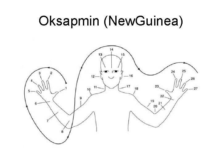 Oksapmin (New. Guinea) 