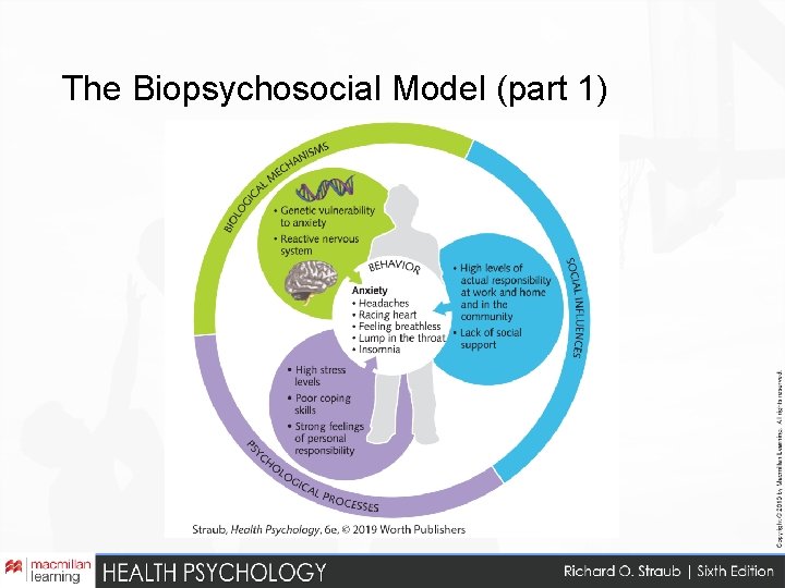 The Biopsychosocial Model (part 1) 