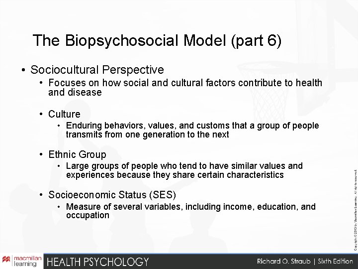 The Biopsychosocial Model (part 6) • Sociocultural Perspective • Focuses on how social and