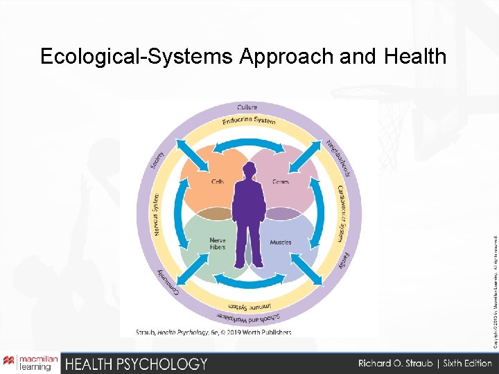 Ecological-Systems Approach and Health 