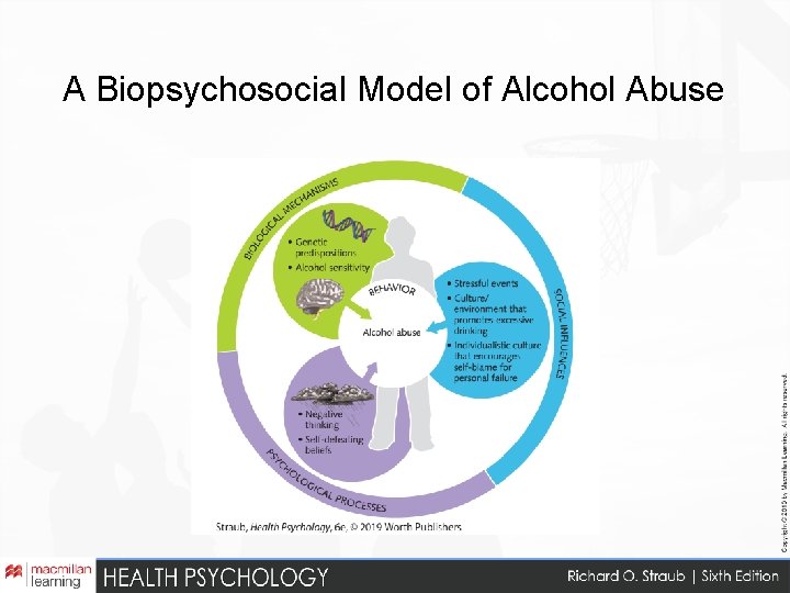 A Biopsychosocial Model of Alcohol Abuse 
