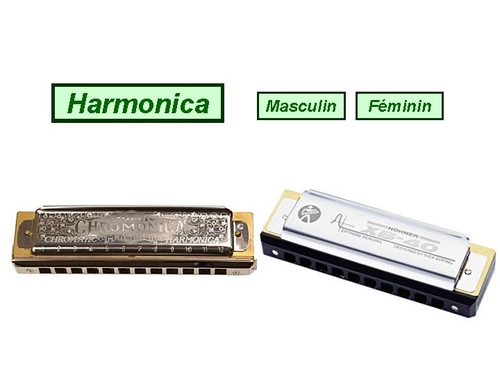 Harmonica Masculin Féminin 