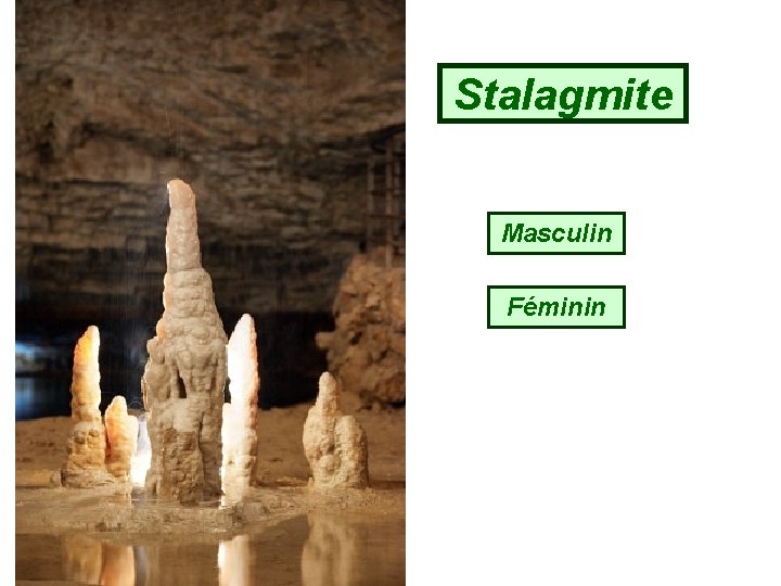 Stalagmite Masculin Féminin 