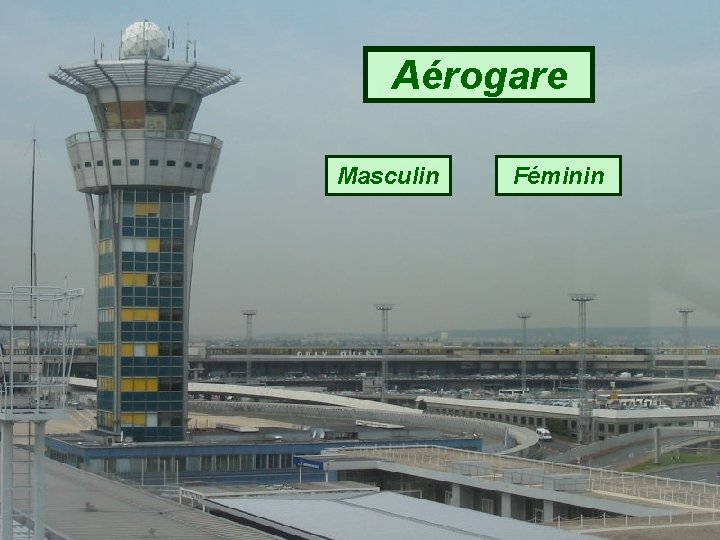 Aérogare Masculin Féminin 